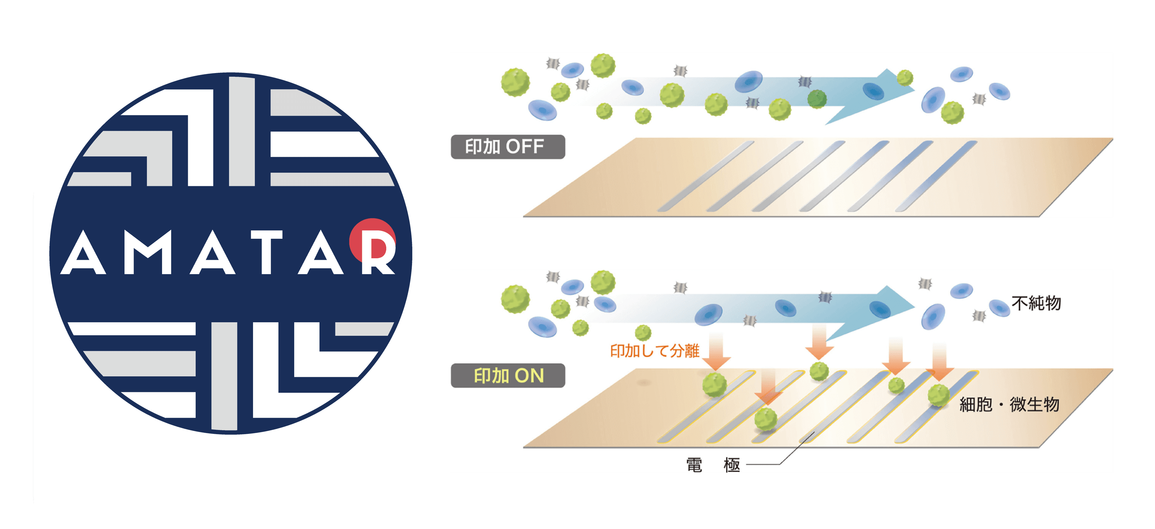 AMATAR<sup>™</sup>(アマタ)”の仕組み図解