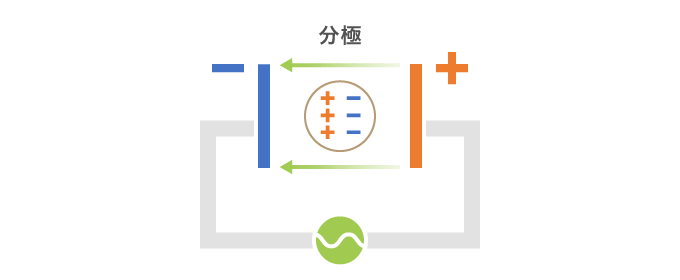 電極間にある誘電体(細胞等)は電界の影響を受けて、細胞質などの電解質が分極します。